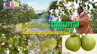 អ្នកឃុំស្ទឹងកែវរក្សានិងដាំក្រូចថ្លុងដែលមានឈ្មោះល្បីតាំងពីយូរលង់មក | CFN TV (បទយកការណ៍) 20-8-22