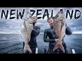 HUGE Snapper Spearfishing with New Zealand champions Jackson Shields & Sophie Hamilton