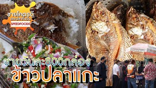 ข้าวปลาแกะ โอ้โห!! คนรุมแถวยาว วันละ800ตัว ยังไม่พอขาย | Boneless Fish Thai Street Food