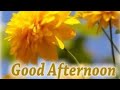 Good afternoon।। good afternoon status।। good afternoon whatsApp status।।good afternoon status video