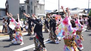 ほろろ一座 　銭形よさこい２０１７　柳町　４ｋ