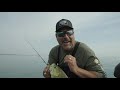 lake st clair finesse swimbait fishing zona unplugged episode 3