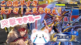 【三国志大戦】馬倫207回勇者ニケｐｔvs乱世の華