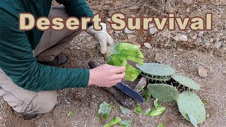 How to Eat Prickly Pear Cactus