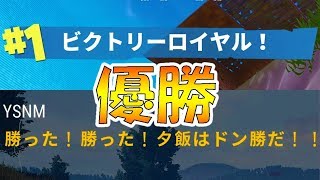 【Fortnite】初心者がまたドン勝をとってしまうｗ（withはこ）【フォートナイト実況】