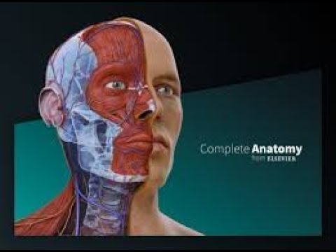 Complete Anatomy A User S Guide Youtube