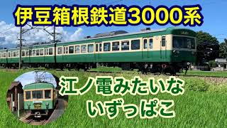 【伊豆箱根鉄道】江ノ電みたいないずっぱこ3000系