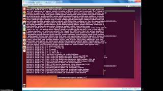 Openstack Juno - Multihost networking