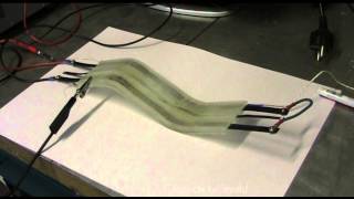 Smart Composite- Shape Memory Alloy and Shape Memory Polymer