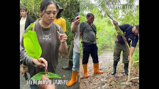 【山與海的生活路徑】大港口部落