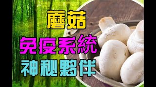 【維他命D  免疫】增强免疫力 食療： 蘑菇-維他命D  免疫的神秘夥伴！| 打造 免疫力|天然 免疫系統