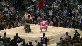 剣翔-千代大龍/2017.3.25(34)/tsurugisho-chiyotairyu/day14 #sumo