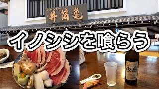 【猪鍋】やっぱり冬は鍋だよね／ジビエ