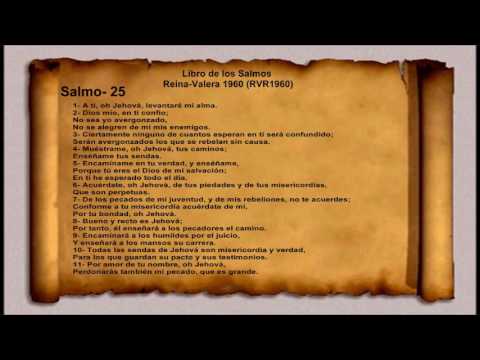 La Biblia Libro De Los Salmos Salmo 25 Reina Valera 1960 RVR1960 - YouTube