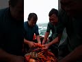 fishing 🦞 squid あい fish seaworm 🦀 すばらしい 釣り sealife amazing 海の生物 मछलीपकड़ने mancing