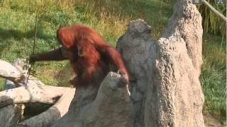 Indah and Aisha on Monday Morning at 9:50 AM June 02, 2014