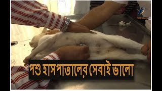 মানুষের চেয়ে পশু হাসপাতালই ভালো! Veterinary hospital Dhaka