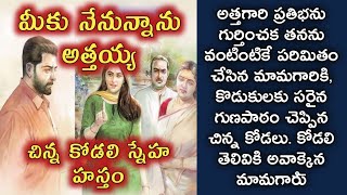 మీకు నేనున్నాను అత్తయ్య, చిన్న కోడలి స్నేహహస్తం/ telugu audio stories/ telugu kathalu