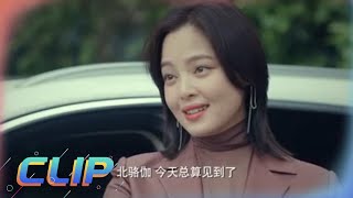 骆伽遇到周锐送杨露去机场 骆伽竟然吃醋了！《输赢 Win the Future》 主演：陈坤 | 辛芷蕾【欢迎订阅China Zone 剧乐部】