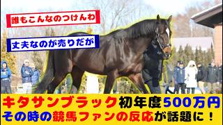 【競馬】キタサンブラック初年度種付け料500万円 あの時の競馬ファンの反応が話題に！！【競馬の反応集】