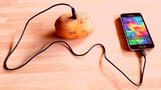 💡Mobile Charge With Potato 🥔 | Top Life Hacks | Life Ideas Hacks | Crafts in 5 Minutes