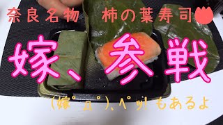 【奈良名物】柿の葉寿司を食べてみた【実況食レポ】#いなと嫁　#寿司　#食レポ