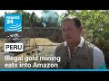 Illegal gold mining eats into Peruvian Amazon • FRANCE 24 English