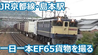 【見通しの良い区間！】JR京都線（東海道本線） 島本駅 昼間の発着＆通過集【EF65・EF210・223系・221系・・・】