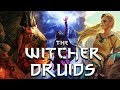 What Are Druids? - Witcher Lore - Witcher Mythology - Witcher 3 Lore