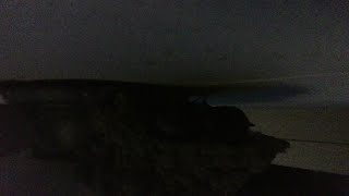 ツバメが今年も来てくれました　swallow Live Cam　燕の巣