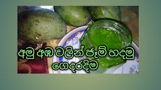 Raw mango jem recipe/Home made jem recipe /ගෙදරදිම පහසුවෙන් අමු අඹ ජෑම් හදමු @rameshalakshanivlog