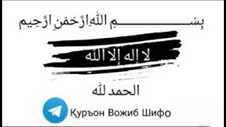 Ич қотишлик хақида маълумот. Ic hqotishlik xaqida malumot.