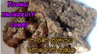 පැරණි ක්‍රමයට පොලොස් ඇඹුල|Young jack fruit curry |Sri Lankan village foods