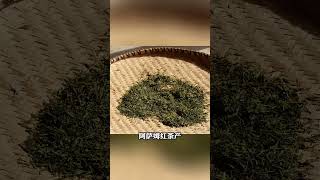 世界4大紅茶，妳都知道嗎？ wechat：zcj049 #普洱茶 #茶知识 #古树茶 #召唤茶友