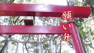 鴨川の旅「波の伊八・願い升」改