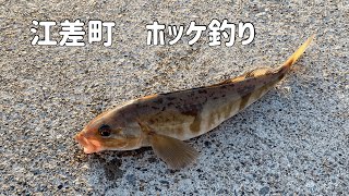 【2022年北海道江差町釣り】ホッケ釣り