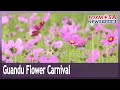 Guandu Flower Carnival in bloom until Nov. 30