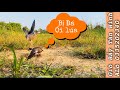 Duy Cu Gáy || Chim Nọc ( Name..Gù Hết Pin ) bị bổi đá sáp mặt luôn..!