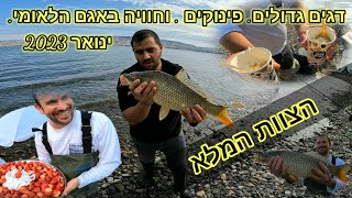 דיג קרפיונים בכנרת הצוות המלא דגים גדולים חוויות אקשן והרבה פינוקים. ינואר 2023.