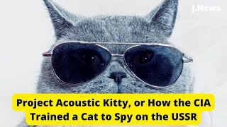 Project Acoustic Kitty, or How the CIA Trained a Cat to Spy on the USSR