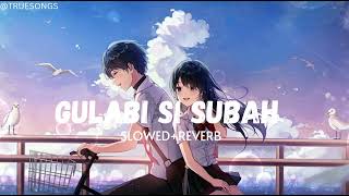 Gulabi si subah - (slowed + reverb)ll TRUE SONGS 🙏