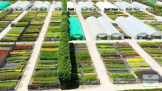 A new drone tour of Palmstead Nurseries at Wye, near Ashford in Kent (2022)