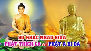 SỰ KHÁC NHAU GIỮA PHẬT THÍCH CA và PHẬT A DI ĐÀ