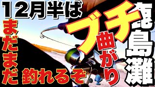 【サーフヒラメ】爆風ハイシーズン