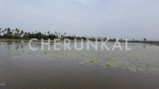 Cherunkal, Changaram Wetlands, Vallethode, Alappuzha, Kerala, India