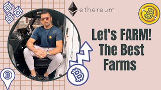 Let's YIELD FARM - The Best Farms on BSC, MATIC, FTM and SOL