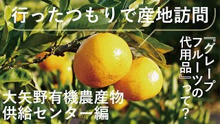 【東都生協】行ったつもりで産地訪問　大矢野有機農産物供給センター編