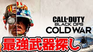 新作CoD: Black Ops Cold War最強武器探し生放送