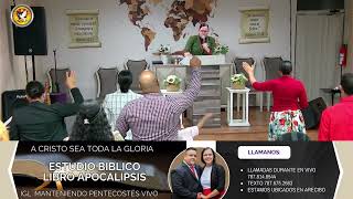 ESTUDIO BIBLICO DE APOCALIPSIS: PERSECUCION Y PROTECCION DE LA MUJER (APOCALIPSIS 12:13,14)