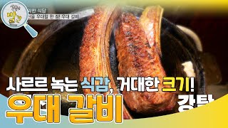 이것이 갈비다! 진짜 갈비란 무엇인지 보여주는 우대갈비 [생활의 발견] | KBS 230911 방송